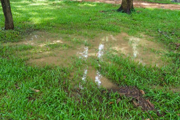 Cost of Storm Water Drainage Service in Grand Blanc