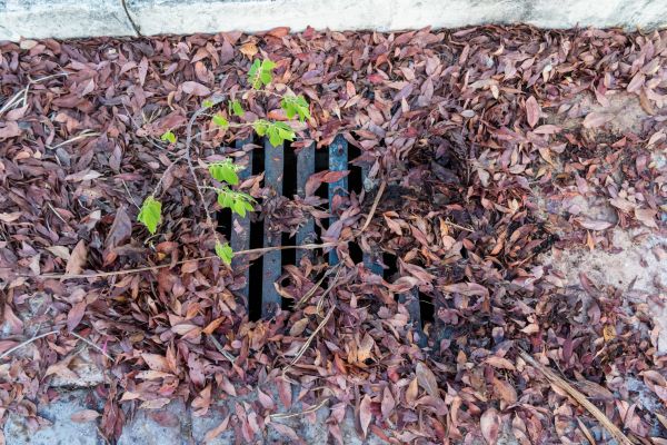 Cost of Yard Drain Unclogging in Grand Blanc