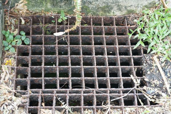 Cost of Yard Drain Cleaning in Grand Blanc