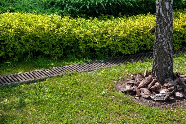 Cost of Residential Landscape Drainage in Grand Blanc