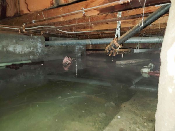Cost of Crawlspace Drainage in Grand Blanc