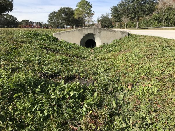 Cost of Swale Drainage Service in Grand Blanc